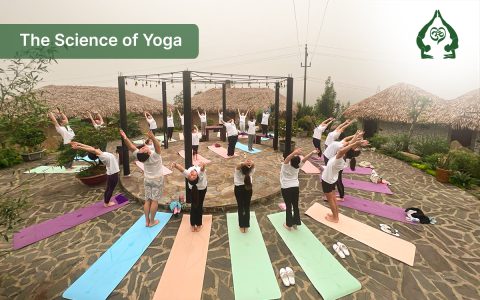 The Science of Yoga: Exploring the Physical and Emotional Benefits